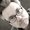 Photo of Tom O.