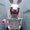 Photo of Qype User (dark-b…)