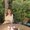 Photo of Rocio A.