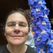 google avatar
