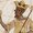 Photo of Manasseh E.