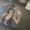 Photo of Mariyah T.