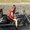 Photo of Marcela M.