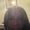 Photo of danita