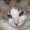 Photo of Kat L.