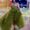 Photo of Boommar S.