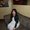 Photo of Krissy P.