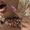 Photo of cassie h.