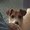 Photo of Lyric B.