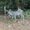 Photo of Yoloxochitl T.