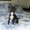 Photo of Alene S.