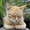 Photo of Qype User (Tilman…)