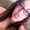 Photo of Ashley C.
