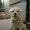 Photo of Mauree. O.