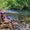 Photo of Zues R.