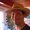 Photo of Carl M.