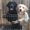 Photo of Robert B.