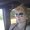 Photo of Oona M.