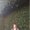 Photo of Maisy C.