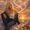 Photo of Kathy J B.