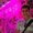 Photo of Waleed S.
