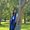 Photo of Jessica Y.