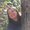 Photo of Sarah H.