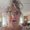 Photo of Pam R.