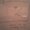 Photo of Kyri C.