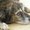 Photo of Qype User (Collie…)