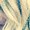 Photo of Amy K.