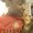Photo of Nyesha T.