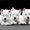Photo of Alan A.