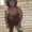 Photo of Sondria B.