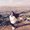 Photo of Fatma H.