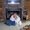 Photo of Diana C.