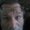 Photo of carlos c.