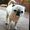 Photo of Darcie M.