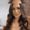 Photo of Beatriz A.
