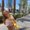 Photo of Amanda G.