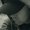 Photo of Ira R.