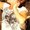 Photo of Sachi S.