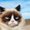 Photo of Coco F.