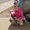 Photo of Teri F.