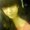 Photo of Xochilth H.