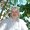 Photo of Stephane H.