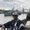 Photo of Damall M.