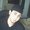 Photo of Israfil D.