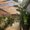 Photo of Queenie R.