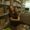 Photo of Ashleigh L.